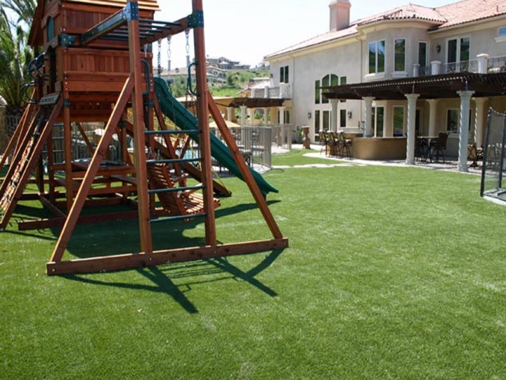 Artificial Lawn Rillito, Arizona Landscape Design, Backyards