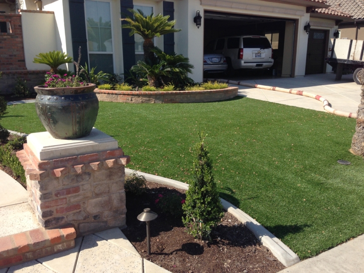 Artificial Lawn Strawberry, Arizona City Landscape, Front Yard Ideas