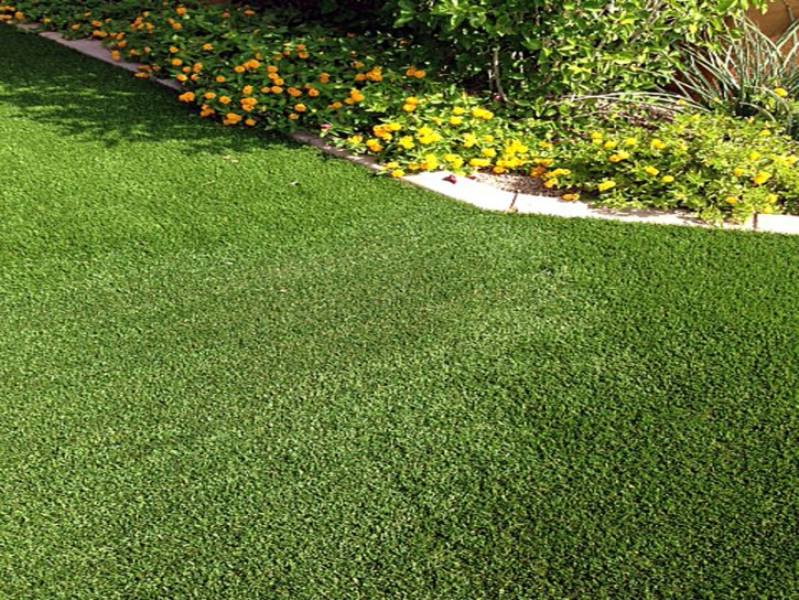 Artificial Lawn Topawa, Arizona City Landscape, Small Front Yard Landscaping