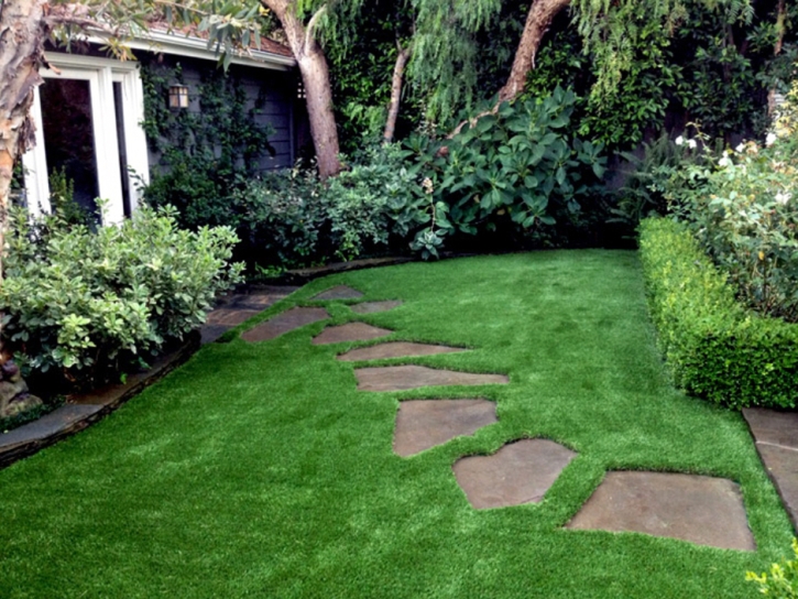 Artificial Lawn Tubac, Arizona Design Ideas, Backyard