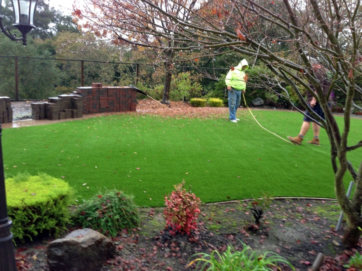 Artificial Turf Cost Ajo, Arizona Lawns, Backyard Makeover