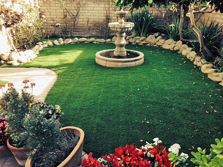 Artificial Turf Cost Carrizo, Arizona Backyard Deck Ideas