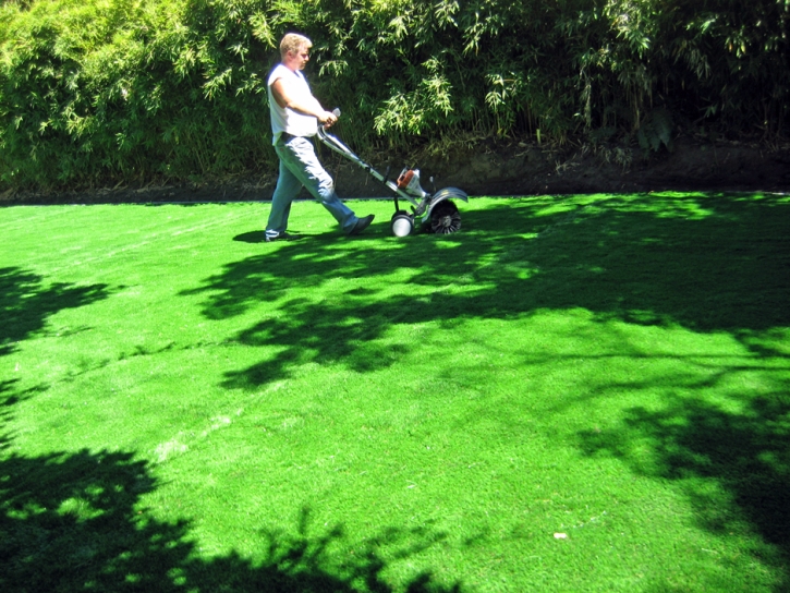 Artificial Turf Cost Charco, Arizona Landscape Ideas, Backyard Ideas