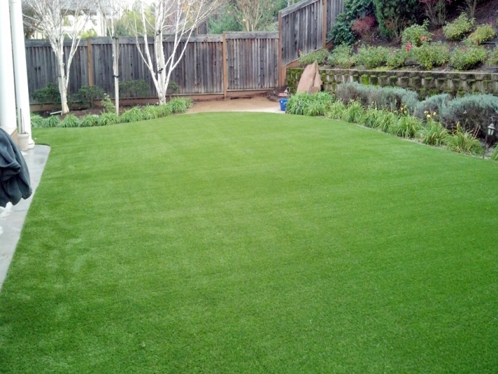 Artificial Turf Cost Eagar, Arizona Landscape Ideas, Backyard Landscaping