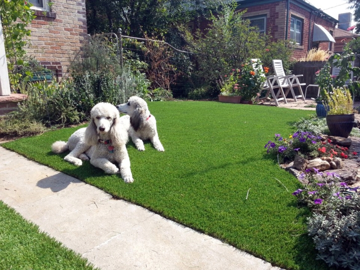 Artificial Turf Cost Jerome, Arizona Dog Run, Front Yard Landscape Ideas