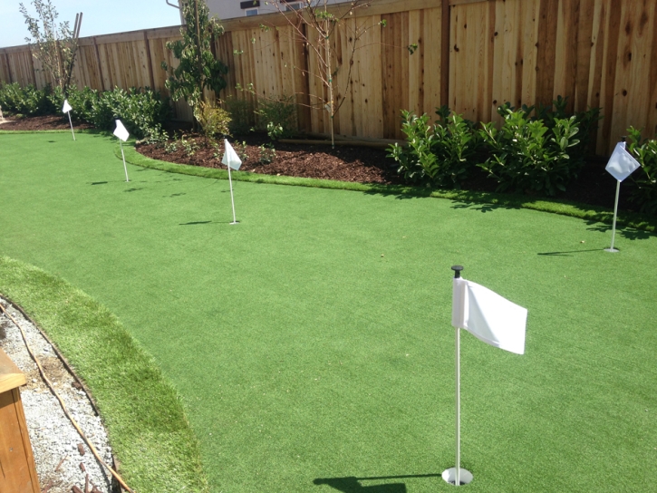 Artificial Turf Cost Linden, Arizona Landscaping Business, Backyard Landscaping Ideas