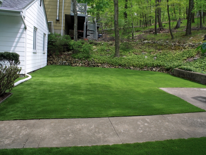 Artificial Turf Cost Rio Rico, Arizona Gardeners, Front Yard Landscaping Ideas