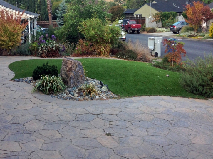 Artificial Turf East Sahuarita, Arizona Landscape Ideas, Front Yard Landscaping Ideas