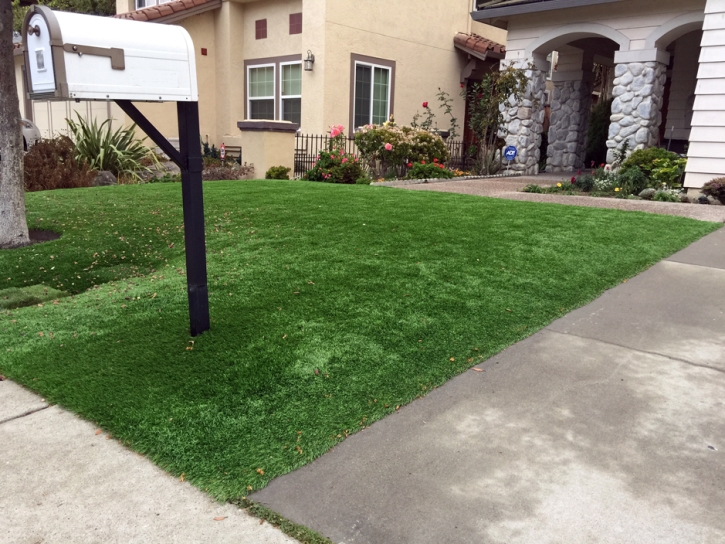 Artificial Turf Installation Dilkon, Arizona Design Ideas, Front Yard Landscaping Ideas