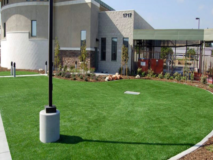 Artificial Turf Installation Queen Valley, Arizona Garden Ideas, Commercial Landscape