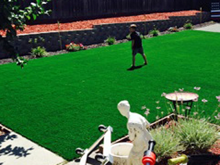 Artificial Turf Moenkopi, Arizona Roof Top, Backyard Ideas