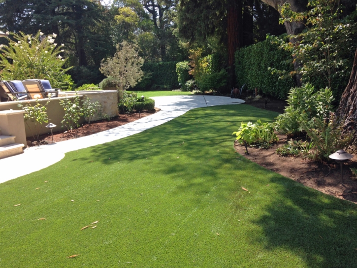 Artificial Turf Paulden, Arizona Landscaping, Backyard Design