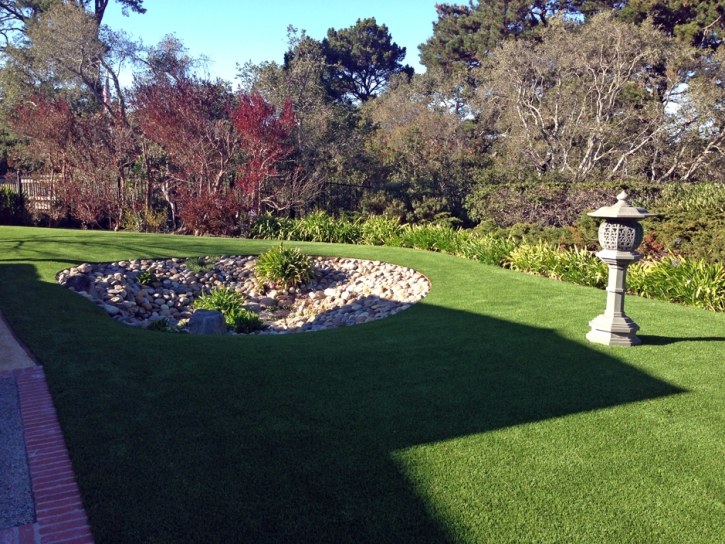 Artificial Turf Queen Valley, Arizona Home And Garden, Backyard Design