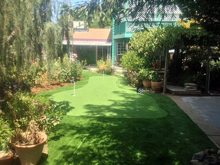 Best Artificial Grass Bagdad, Arizona Lawn And Garden