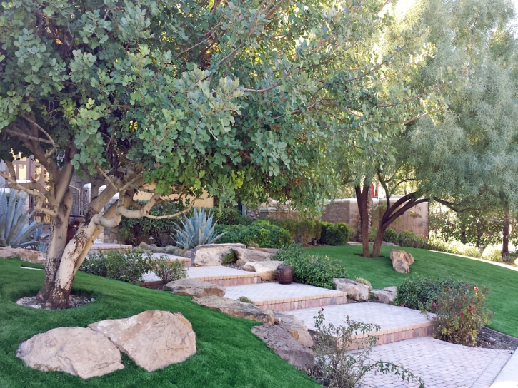 Best Artificial Grass Concho, Arizona Landscape Design, Backyard Design