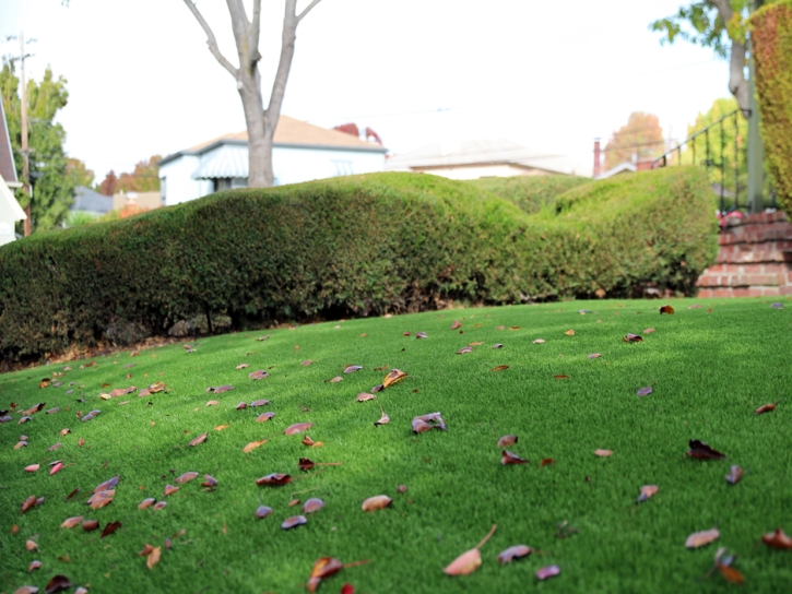 Best Artificial Grass Eagar, Arizona Landscape Ideas, Front Yard