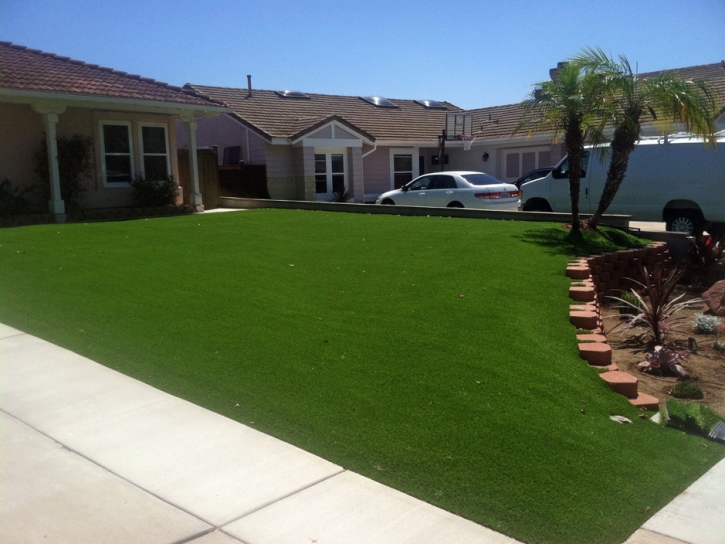 Best Artificial Grass East Fork, Arizona Design Ideas, Front Yard Ideas