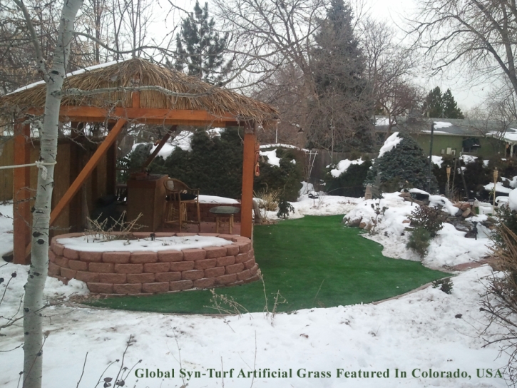 Best Artificial Grass San Tan Valley, Arizona Landscaping Business, Backyard Garden Ideas