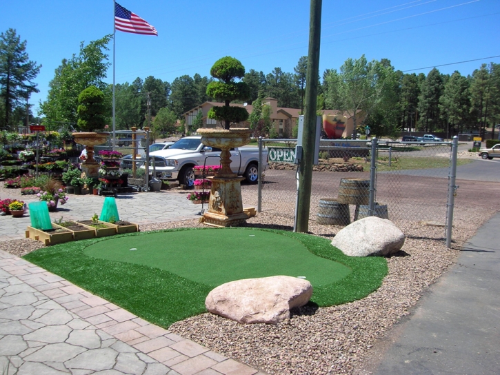 Fake Grass Arivaca, Arizona Landscaping Business, Commercial Landscape