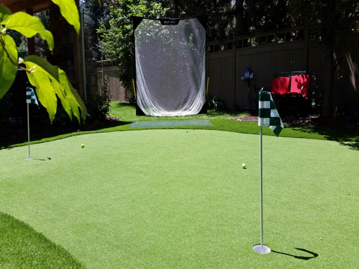 Fake Grass Big Park, Arizona Home Putting Green, Beautiful Backyards