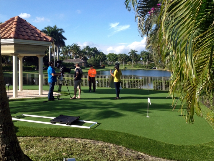 Fake Grass Blackwater, Arizona Home Putting Green, Backyard Landscape Ideas