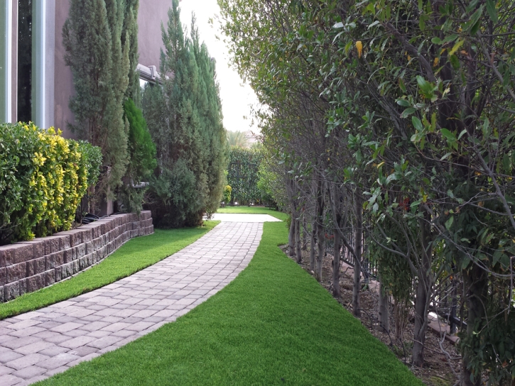 Fake Grass Carpet Beyerville, Arizona Backyard Deck Ideas, Front Yard Landscaping