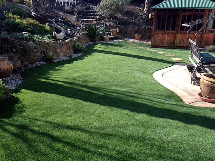 Fake Grass Carpet Cave Creek, Arizona Landscape Ideas, Backyard Garden Ideas