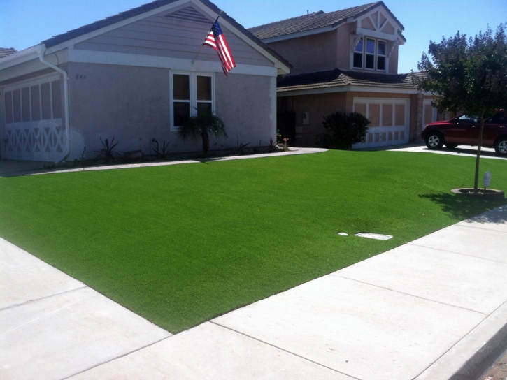 Fake Grass Carpet Cowlic, Arizona Backyard Playground, Front Yard Landscape Ideas