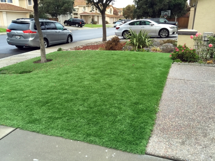 Fake Grass Carpet Elfrida, Arizona Landscape Ideas, Front Yard Landscaping