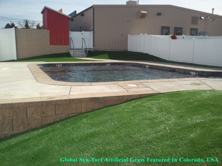 Fake Grass Carpet Glendale, Arizona Home And Garden, Above Ground Swimming Pool