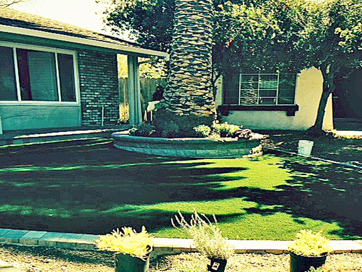 Fake Grass Carpet Naco, Arizona Landscape Ideas, Front Yard Landscape Ideas