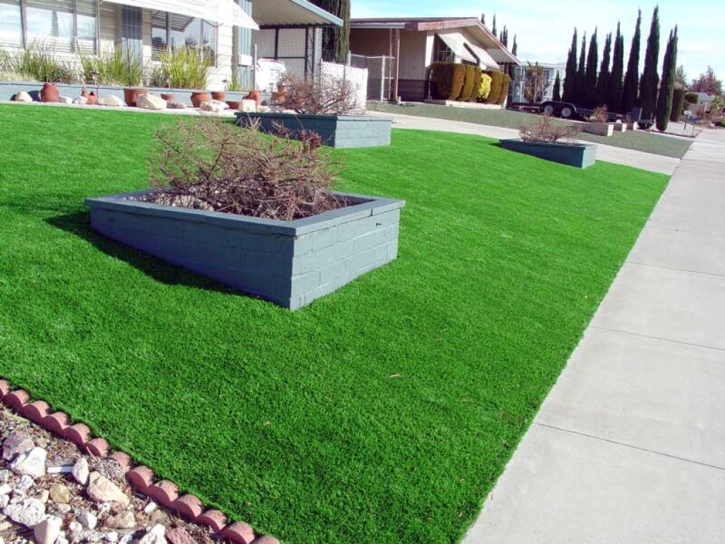 Fake Grass Carpet Phoenix, Arizona Design Ideas, Landscaping Ideas For Front Yard