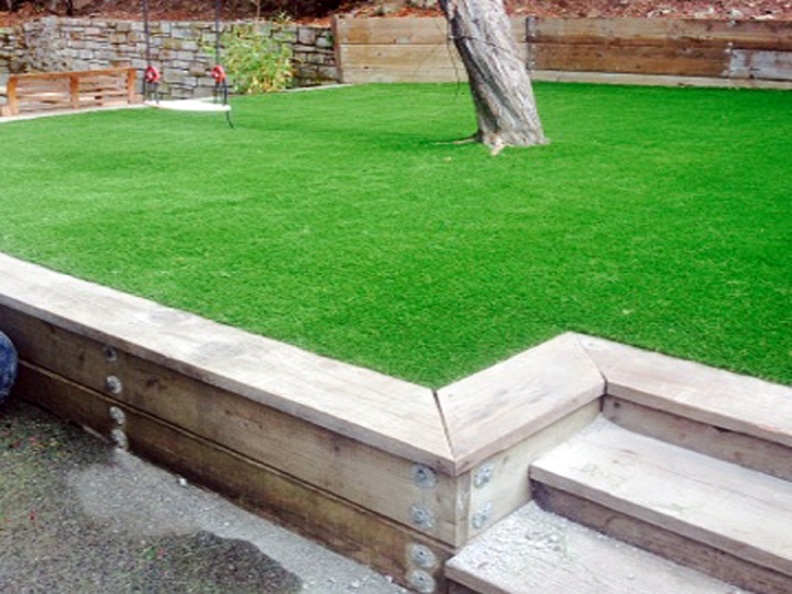 Fake Grass Carpet Sacaton, Arizona Landscaping, Backyard Garden Ideas