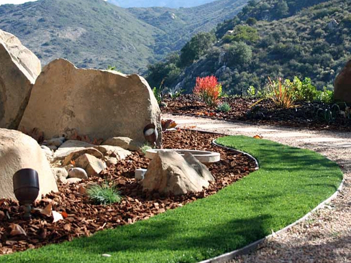 Fake Grass Carpet San Carlos, Arizona Home And Garden, Front Yard Landscaping Ideas