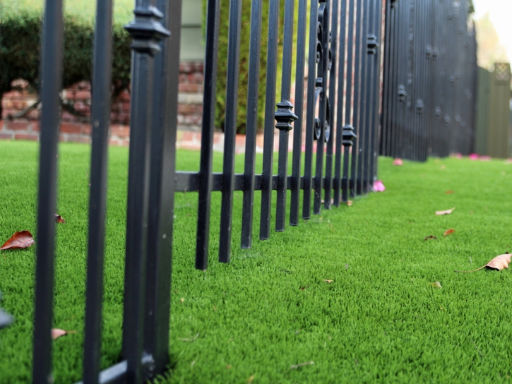 Fake Grass Carpet Tempe Junction, Arizona Backyard Playground, Front Yard Landscaping Ideas