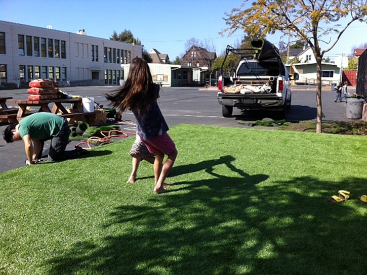 Fake Grass Carpet Wikieup, Arizona Landscape Rock, Commercial Landscape