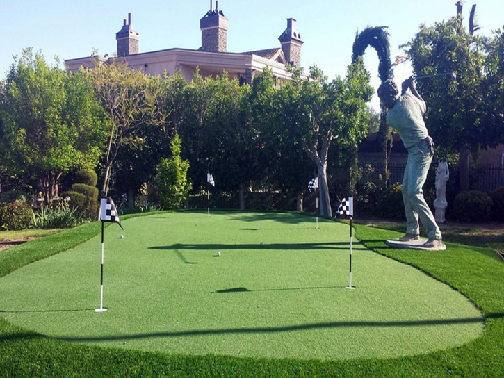 Fake Grass Carpet Youngtown, Arizona Design Ideas, Backyard Garden Ideas