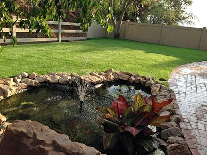 Fake Grass Carpet Yucca, Arizona Lawn And Garden, Natural Swimming Pools