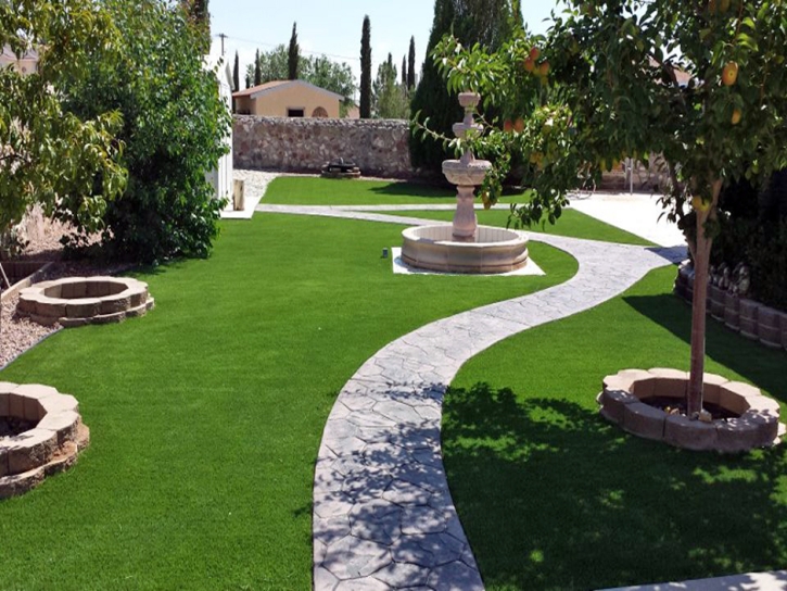 Fake Grass Elfrida, Arizona City Landscape, Backyard