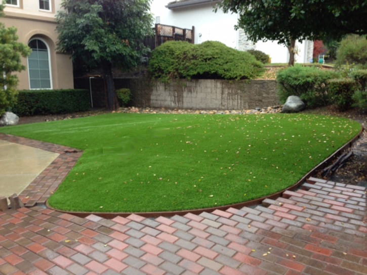 Fake Grass Holbrook, Arizona Rooftop, Front Yard Landscape Ideas