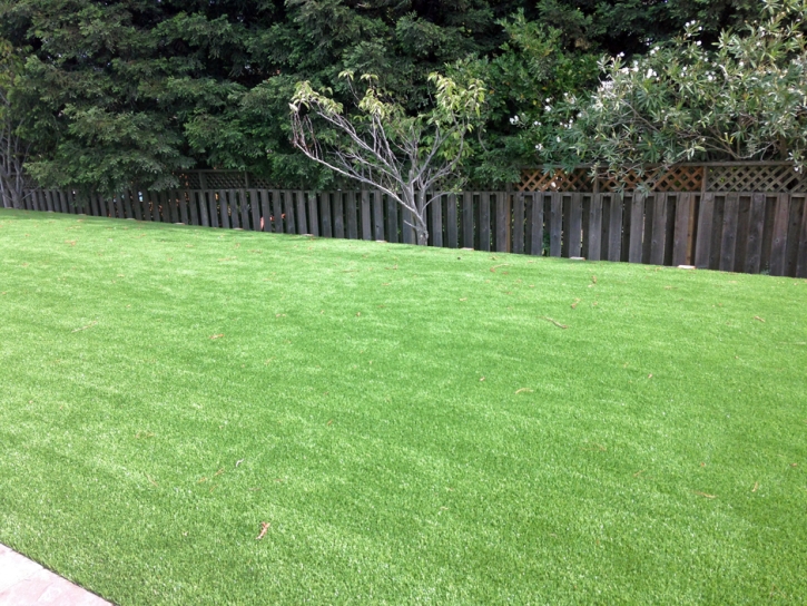 Fake Grass Peridot, Arizona Landscape Photos, Backyard