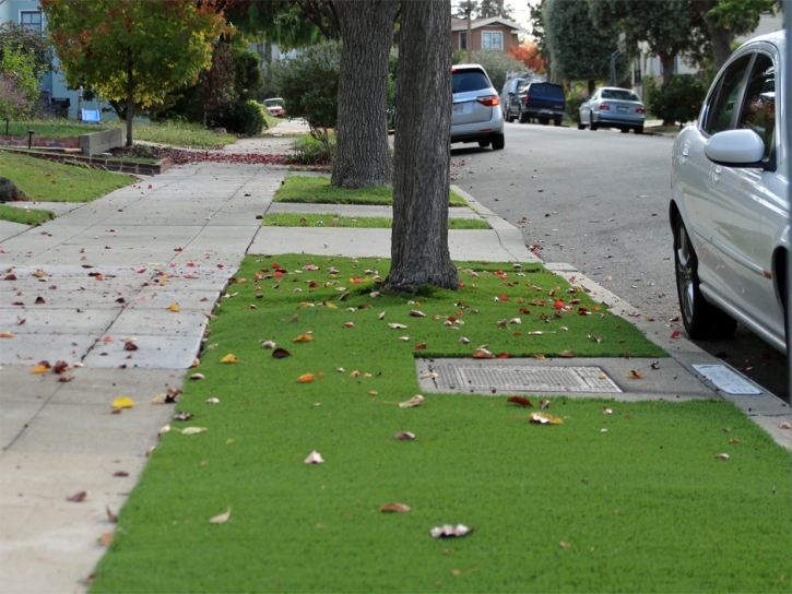 Fake Grass Seba Dalkai, Arizona Lawn And Landscape, Front Yard