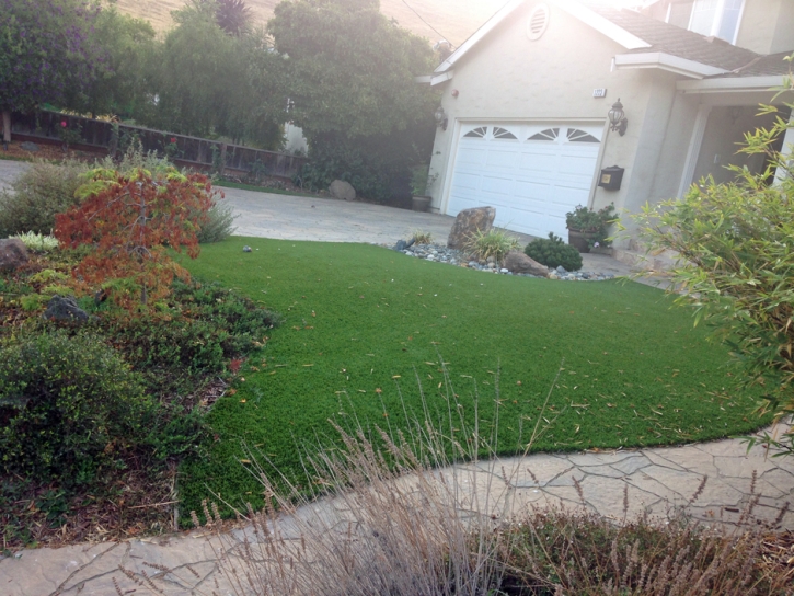 Fake Grass Williams, Arizona Lawn And Garden, Front Yard Ideas