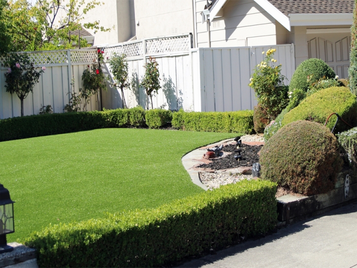 Fake Lawn Elgin, Arizona Backyard Playground, Front Yard