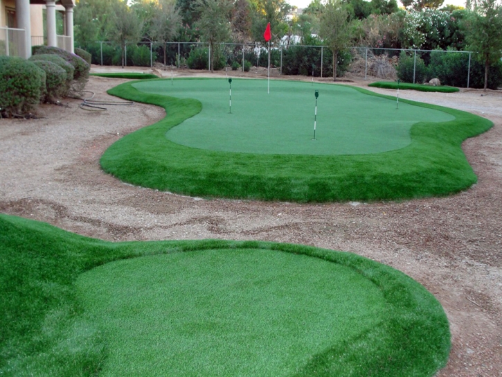 Fake Lawn Goodyear, Arizona Backyard Putting Green, Backyard Landscaping Ideas