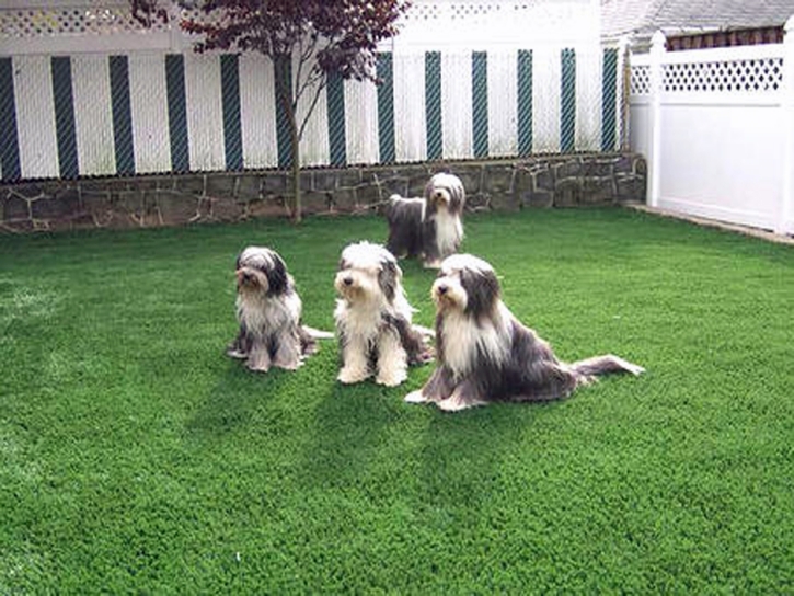 Fake Lawn Peeples Valley, Arizona Landscaping Business, Backyard Landscape Ideas