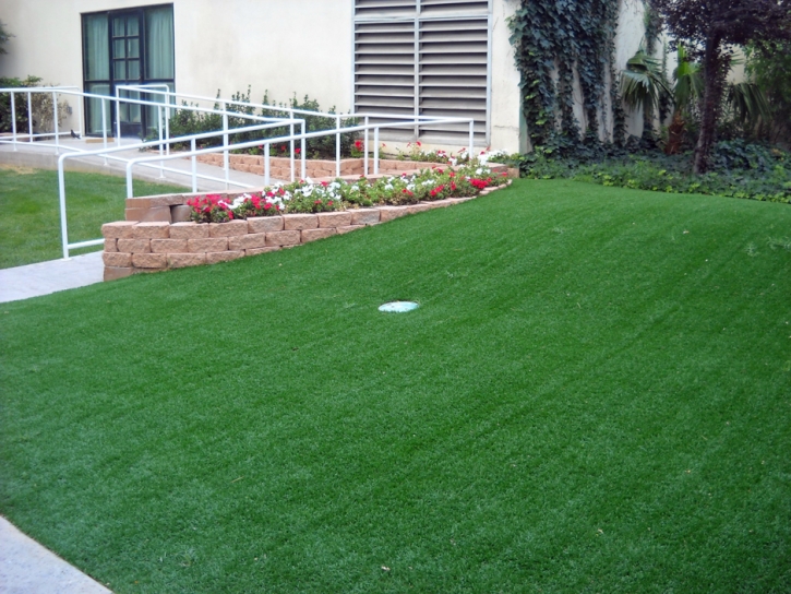 Fake Lawn Wellton, Arizona Office Putting Green, Small Front Yard Landscaping