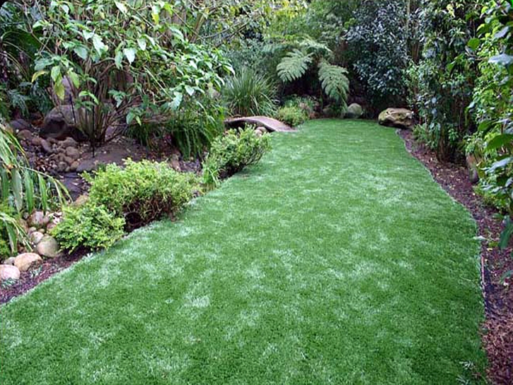 Fake Turf Maricopa, Arizona Backyard Playground, Backyard Designs