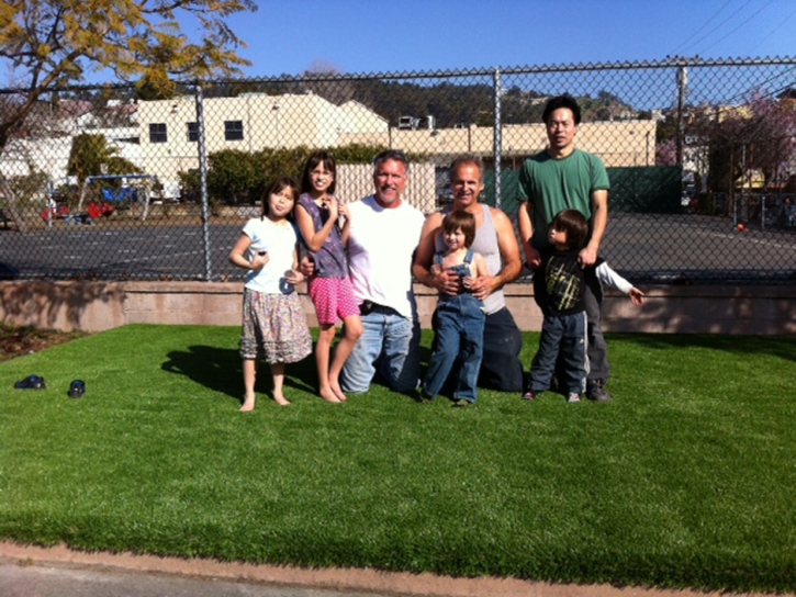 Fake Turf Seligman, Arizona Landscape Design, Commercial Landscape