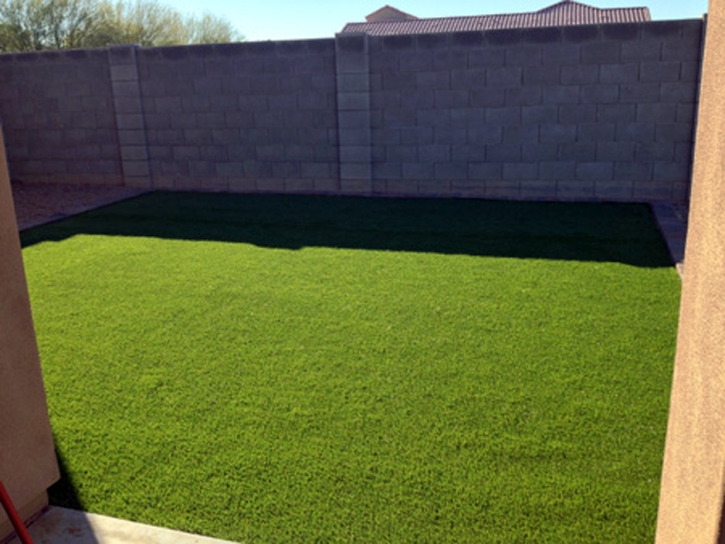 Fake Turf Shungopavi, Arizona Rooftop, Backyard Ideas